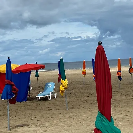 Charment De 45 M2 Renove Et Moderne Σαλέ Villers-sur-Mer