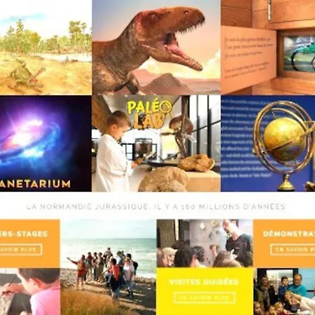 シャレー Charment De 45 M2 Renove Et Moderne ヴィレ・シュル・メール