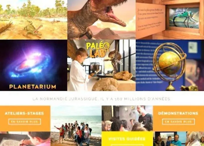 シャレー Charment De 45 M2 Renove Et Moderne ヴィレ・シュル・メール