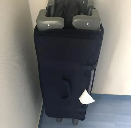 Charment De 45 M2 Renove Et Moderne シャレー