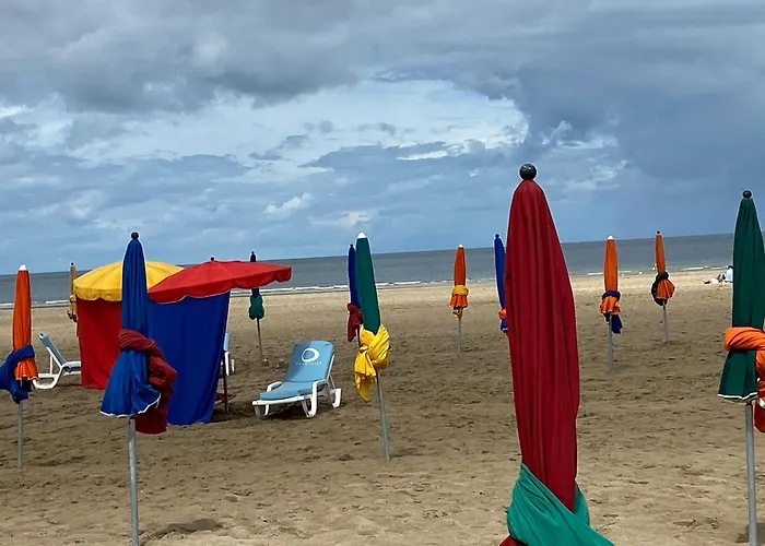 Charment De 45 M2 Renove Et Moderne シャレー ヴィレ・シュル・メール