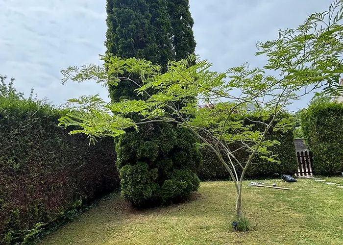 Charment De 45 M2 Renove Et Moderne * ヴィレ・シュル・メール