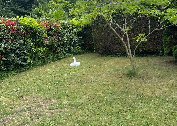 Charment De 45 M2 Renove Et Moderne * ヴィレ・シュル・メール