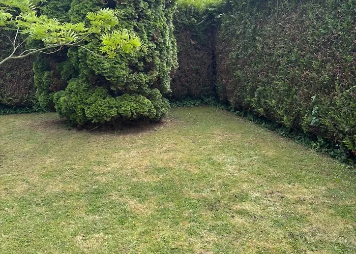 Charment De 45 M2 Renove Et Moderne * ヴィレ・シュル・メール